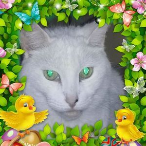 Meet your Posher, Marion